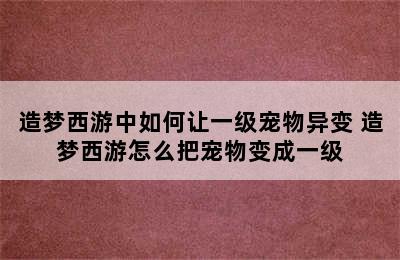 造梦西游中如何让一级宠物异变 造梦西游怎么把宠物变成一级